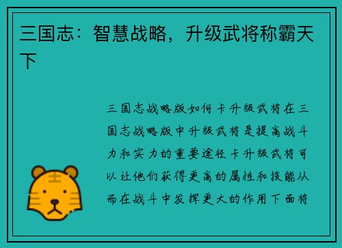 三国志：智慧战略，升级武将称霸天下