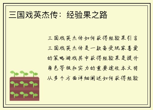 三国戏英杰传：经验果之路